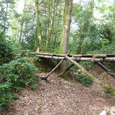 Chateau De Craon Comblessac Bagian luar foto