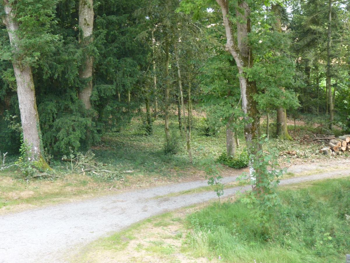 Chateau De Craon Comblessac Bagian luar foto