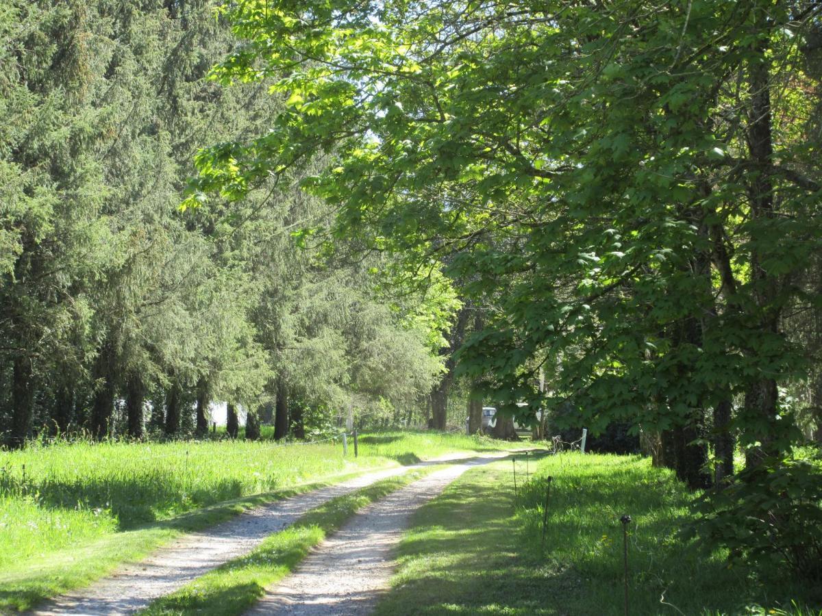 Chateau De Craon Comblessac Bagian luar foto