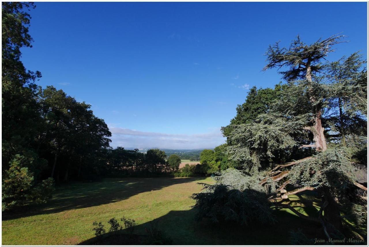 Chateau De Craon Comblessac Bagian luar foto