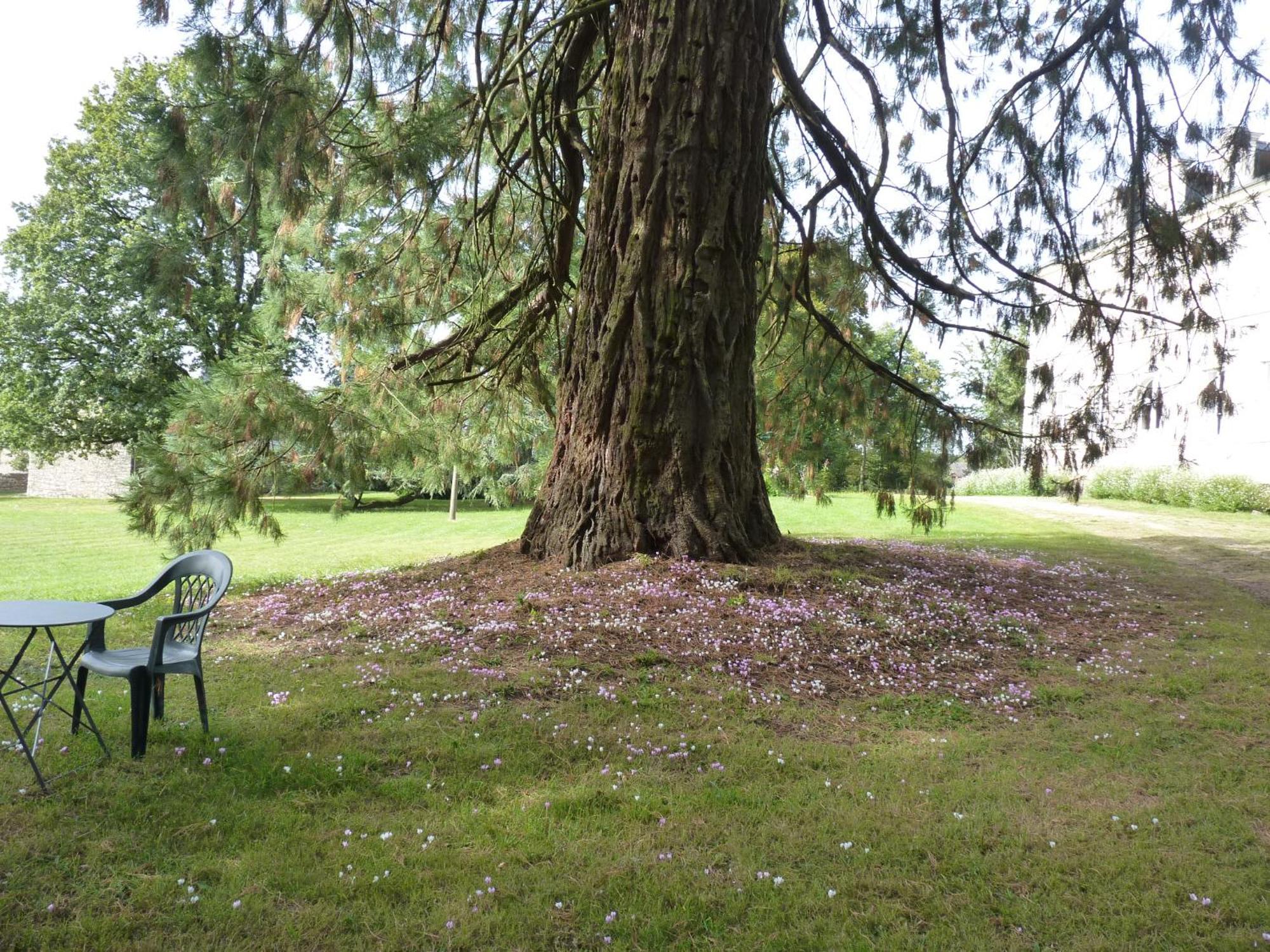 Chateau De Craon Comblessac Bagian luar foto