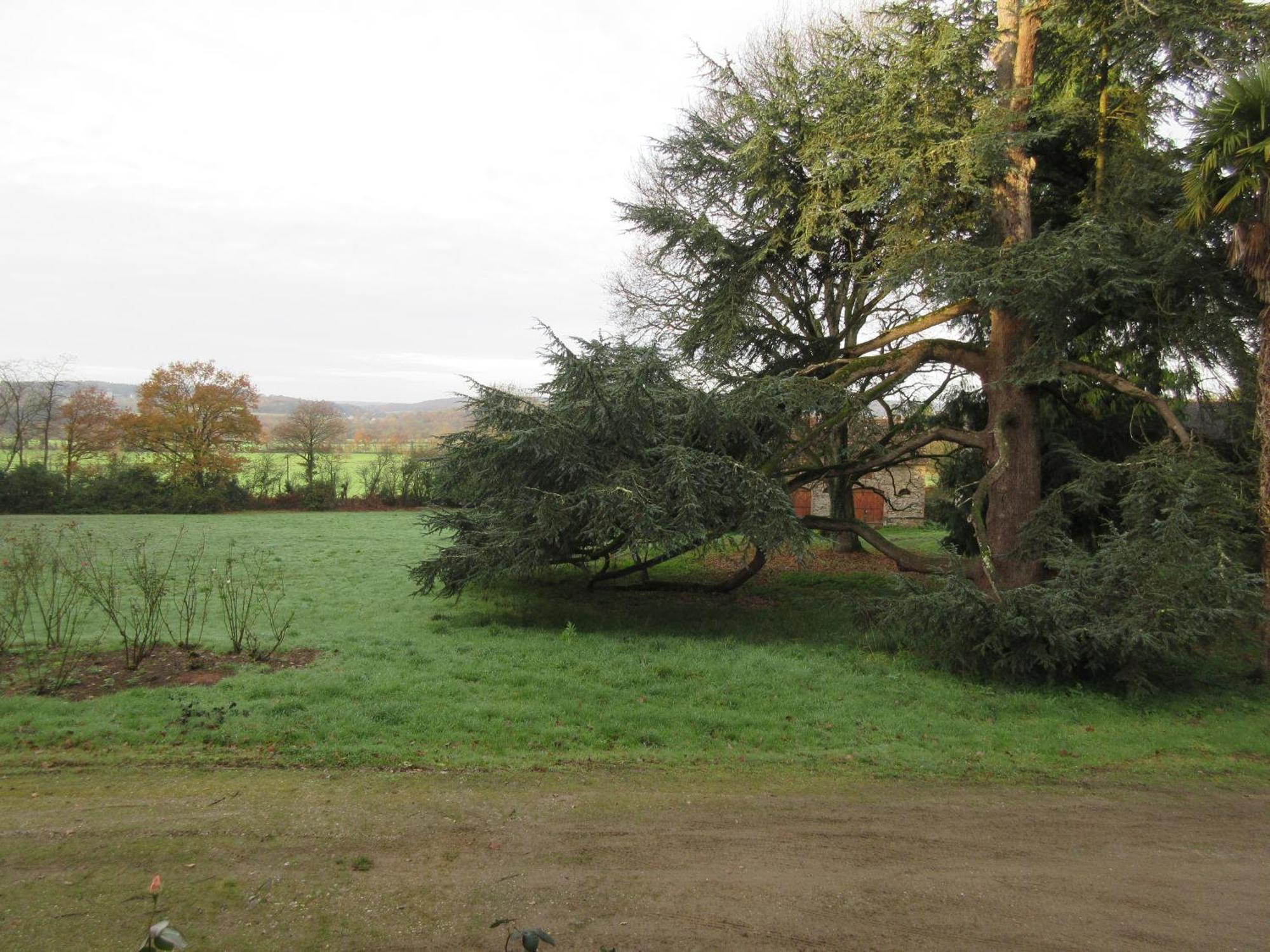 Chateau De Craon Comblessac Bagian luar foto